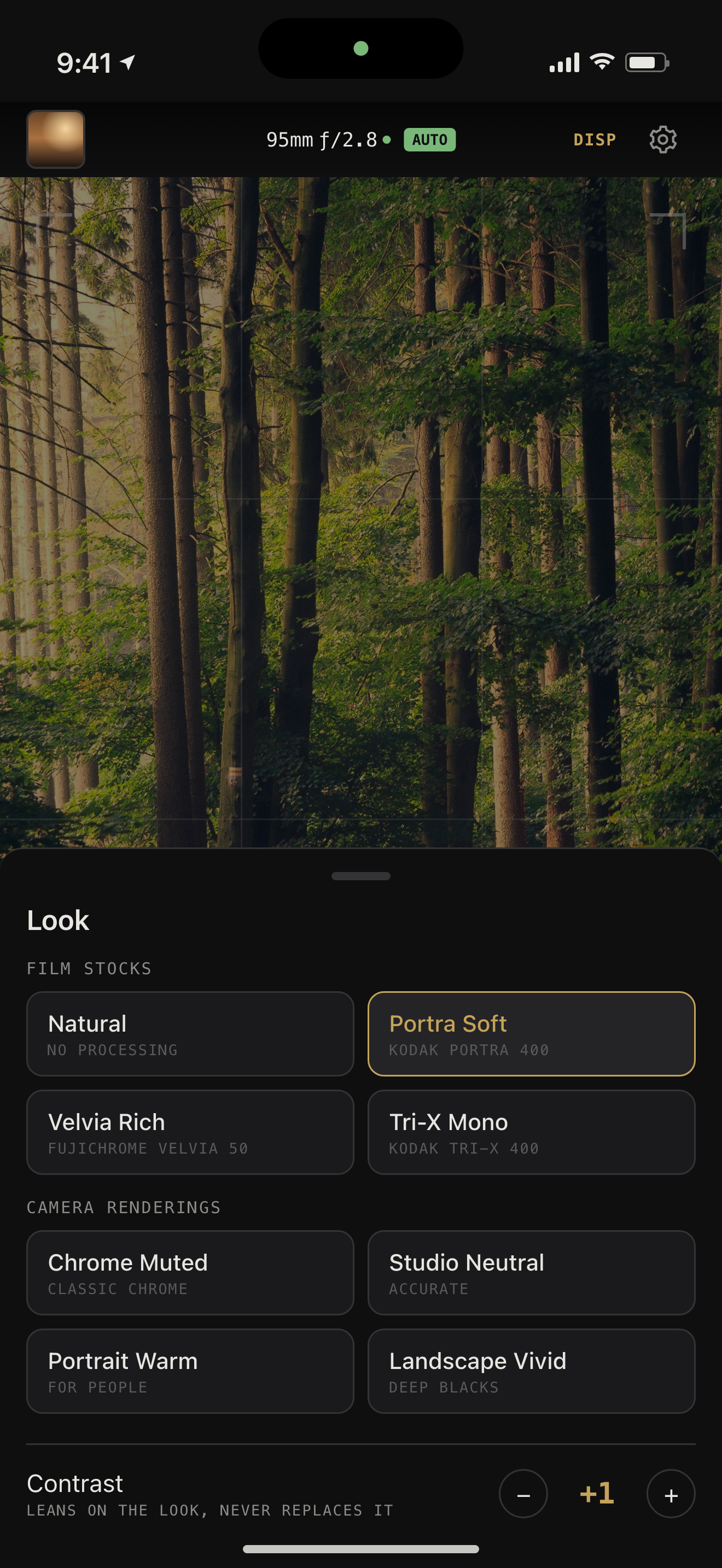 The look picker, nine looks in two families